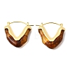 Brass Resin Hoop Earrings EJEW-P333-11A-G02-4