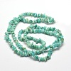 Natural Amazonite Chip Beads Strands X-G-M205-64A-2