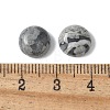 Natural Map Stone Cabochons G-Z075-06A-3