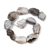 Raw Rough Natural Botswana Agate Beads Strands G-S396-04A-4
