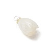 Natural Trochus Shell Pendants PALLOY-JF05371-2