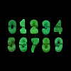 Luminous Frosted Transparent Acrylic Beads TACR-T029-21M-4