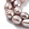 Natural Cultured Freshwater Pearl Beads Strands  PEAR-P062-13F-4