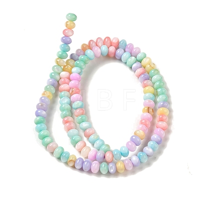 Rainbow Color Dyed Natural Freshwater Shell Beads Strands SHEL-G018-02G-1