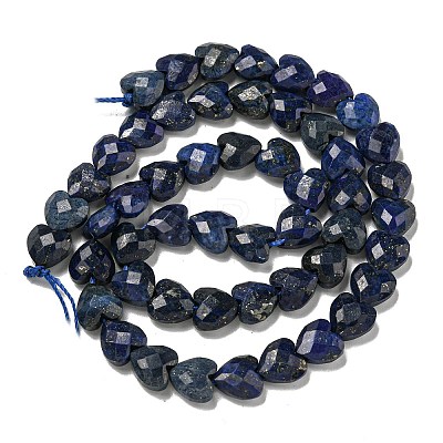 Natural Lapis Lazuli Beads Strands G-P544-E10-01-1