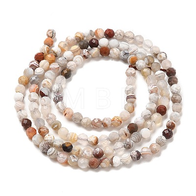 Natural Mexican Lace Agate Bead Strands G-E608-A11-B-1