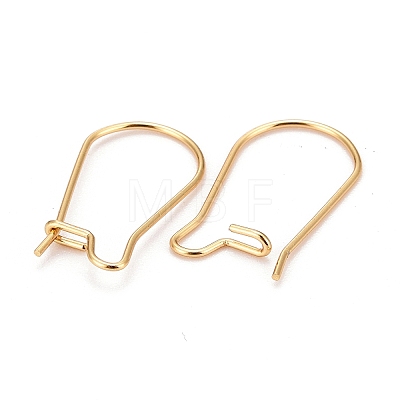 316 Surgical Stainless Steel Hoop Earring Findings X-STAS-A056-12G-C-1