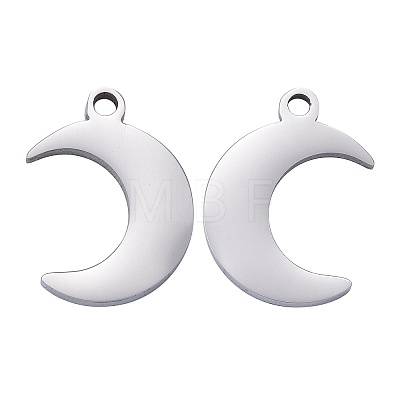 Tarnish Resistant 304 Stainless Steel Pendants LS-STAS-I140-05-1