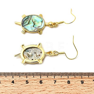Brass Natural Paua Shell Dangle Earrings EJEW-M060-19A-G-1