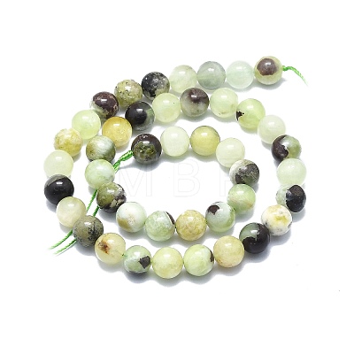 Natural Serpentine Beads Strands G-F715-110B-1