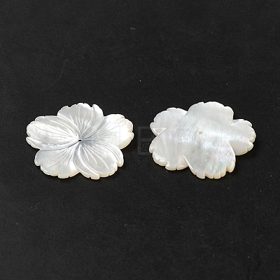 Natural White Shell Beads SHEL-M021-08B-1