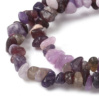 Natural Lepidolite/Purple Mica Stone Beads Strands G-Z081-A01-1