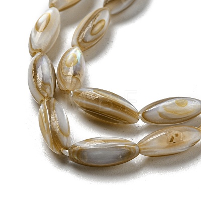 Natural Freshwater Shell Beads Strands SHEL-C005-04-1
