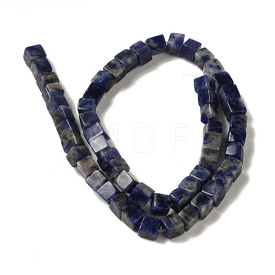 Natural Sodalite Beads Strands G-B078-K01-01-1