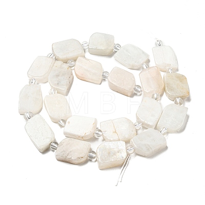 Natural Rainbow Moonstone Beads Strands G-G072-B02-02-1