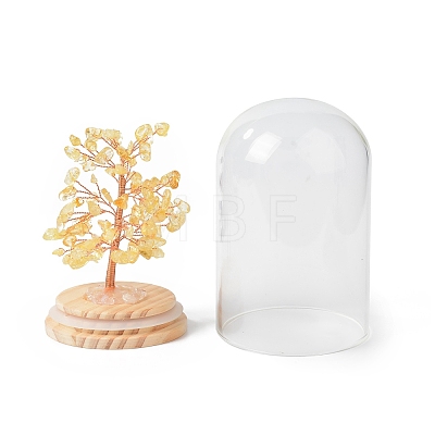 Natural Yellow Quartz Chips Money Tree in Dome Glass Bell Jars with Wood Base Display Decorations DJEW-B007-04F-1