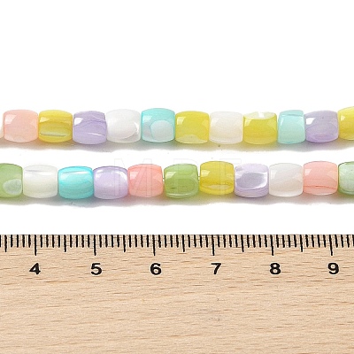 Natural Trochid Shell/Trochus Shell Beads Strands BSHE-H018-05-1