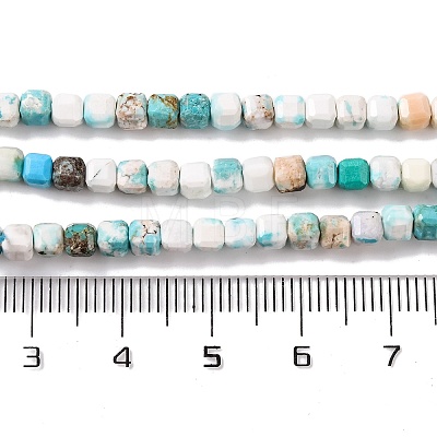 Natural Howlite Beads Strands G-G001-A03-08-1