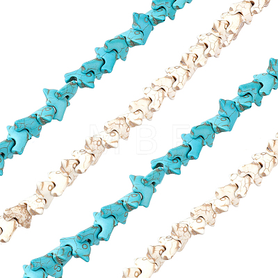 2 Strands 2 Colors Synthetic Turquoise Beads Strands G-FH0001-96-1