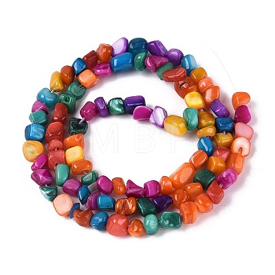Natural Freshwater Shell Beads Strands SHEL-N037-04B-1