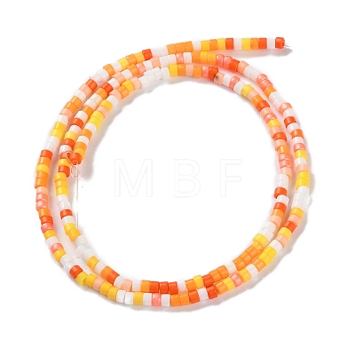 Handmade Czech Lampwork Beads Strands LAMP-L078-008B-1