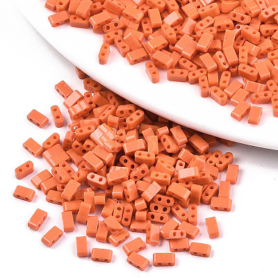FGB 2-Hole Glass Seed Beads SEED-S031-M-SH50-1