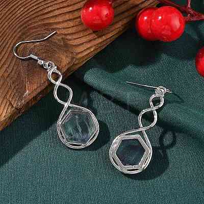 Hexagon Natural Fluorite Dangle Earrings EJEW-K298-01P-10-1