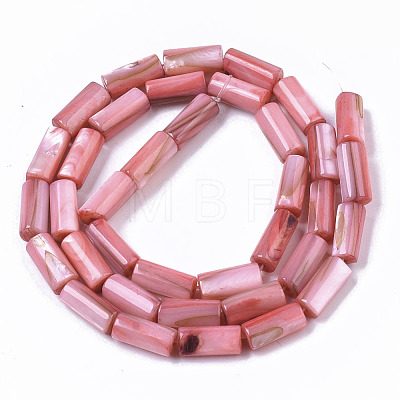 Natural Freshwater Shell Beads X-SHEL-R047-01D-1