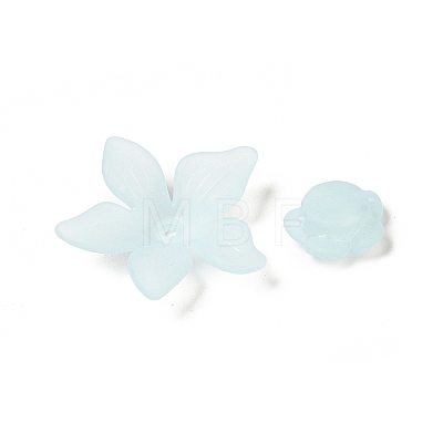 Frosted Transparent Acrylic Beads OACR-U006-03F-1