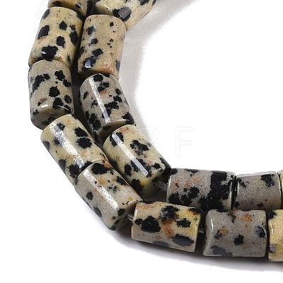 Natural Dalmatian Jasper Beads Strands G-C128-A18-01-1