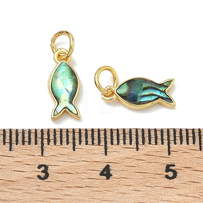 Natural Paua Shell Fish Charms X-KK-F926-04A-1