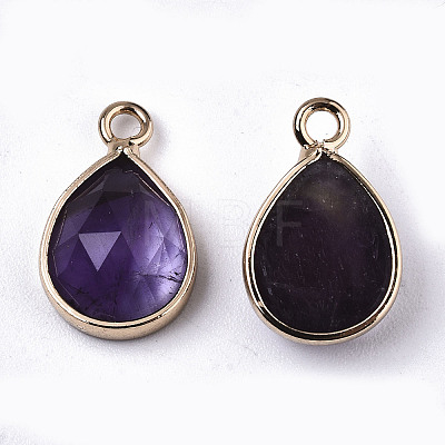 Natural Amethyst Charms X-G-N326-50B-1