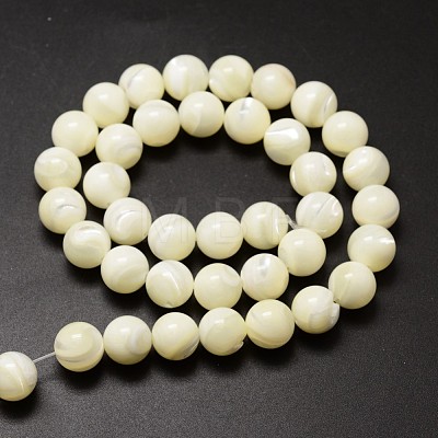 Natural Sea Shell Beads Strands SSHEL-K013-10mm-A-1