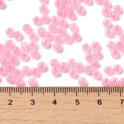 Glass Seed Beads SEED-H002-H-1309-1