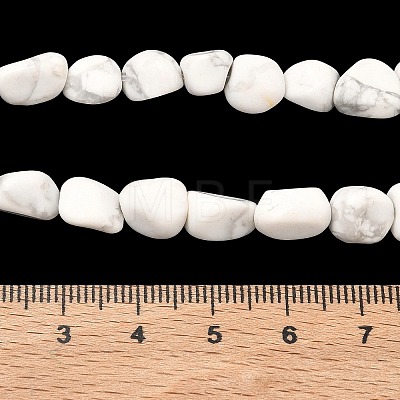 Natural Howlite Beads Strands G-C286-A20-1
