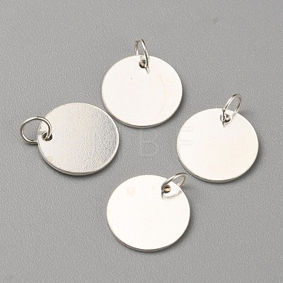 925 Sterling Silver Charms STER-WH0008-09A-S-1
