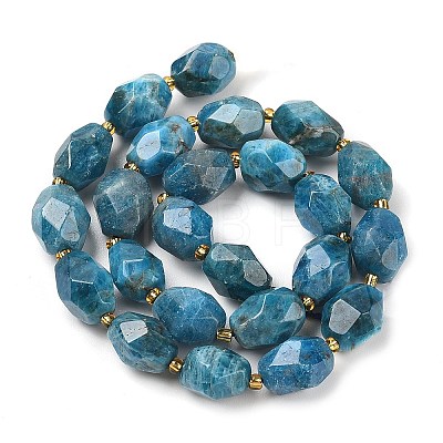 Natural Apatite Beads Strands G-P541-A01-06-1