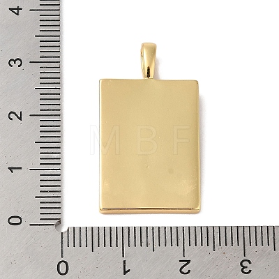 Brass Enamel Pendants KK-L216-009G-01-1