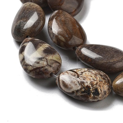 Natural Wealth Stone Beads Strands G-P528-L04-01-1
