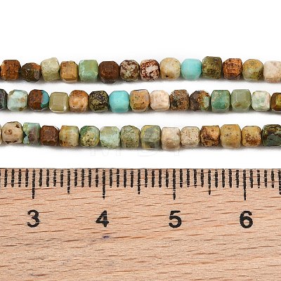 Natural Anhui Turquoise Beads Strands GG-CBA5BAE-A01-1