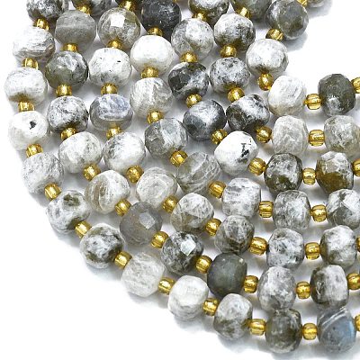 Natural Labradorite Beads Strands G-K389-E41-01-1