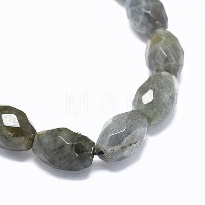 Natural Labradorite Beads Strands G-F632-16A-1