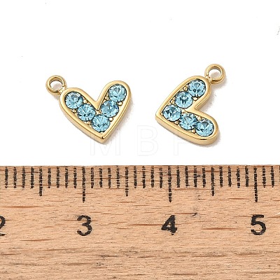 304 Stainless Steel Pendants STAS-L025-005G-02-1