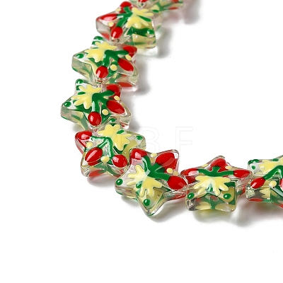 Handmade Lampwork Beads Strands LAMP-K037-15A-1