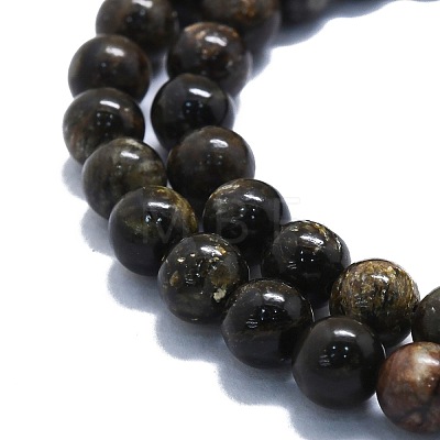 Natural Biotite Beads Strands G-P457-C03-01-1