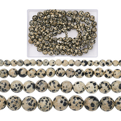4 Strands 4 Style Natural Dalmatian Jasper Beads Strands G-YS0001-06-1