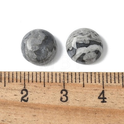 Natural Map Stone Cabochons G-Z075-06A-1