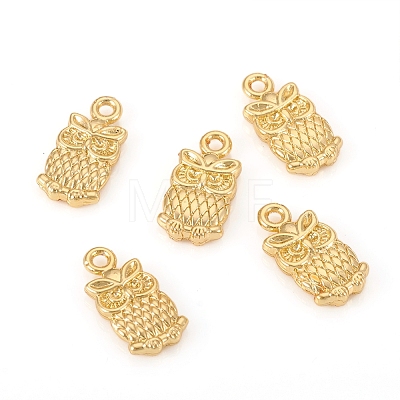 Long-Lasting Plated Alloy Pendants PALLOY-E578-04G-1