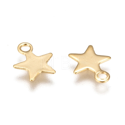 304 Stainless Steel Charms STAS-F159-43G-1
