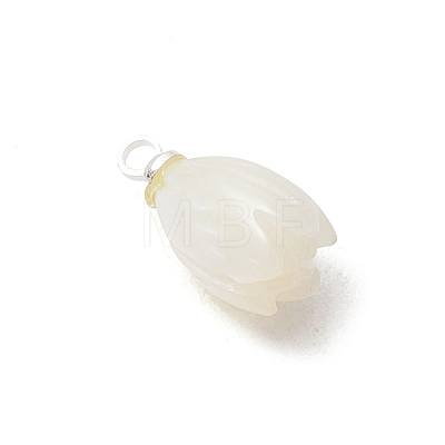 Natural Trochus Shell Pendants PALLOY-JF05371-1